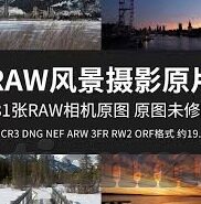 大象传媒黄页-大象传媒黄页，连接生活与信息的桥梁