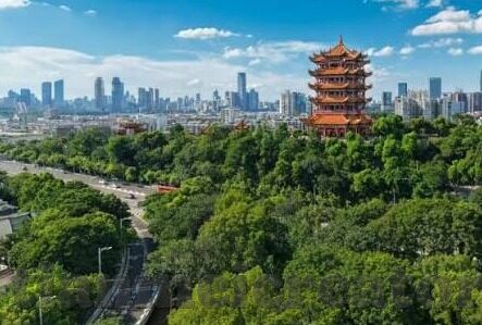 亚洲中文字幕在线精品-探索亚洲影视文化的多元魅力，中文字幕在线精品的独特视角